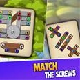 Screw Matching Puzzle